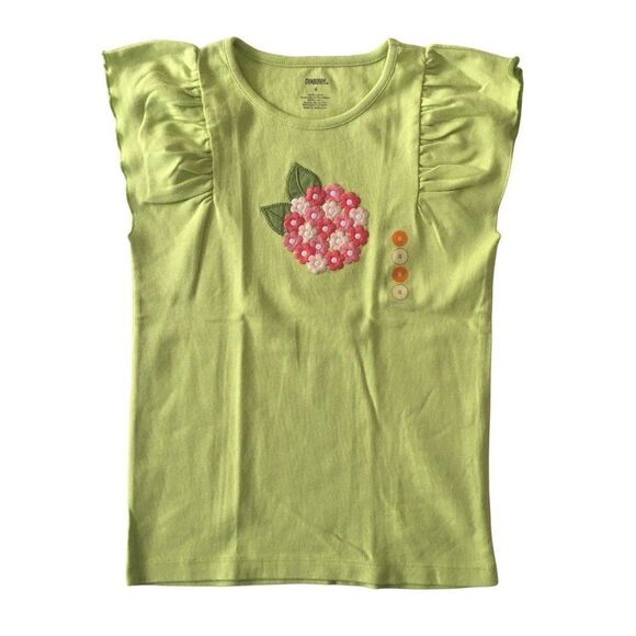 Gymboree tee shirt - Picture 1 of 5